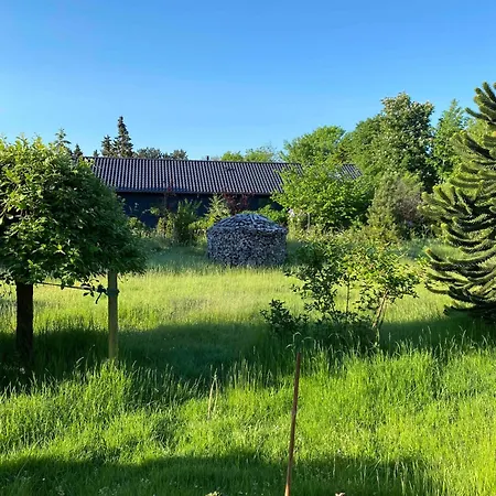 Close To The In Nodebohuse